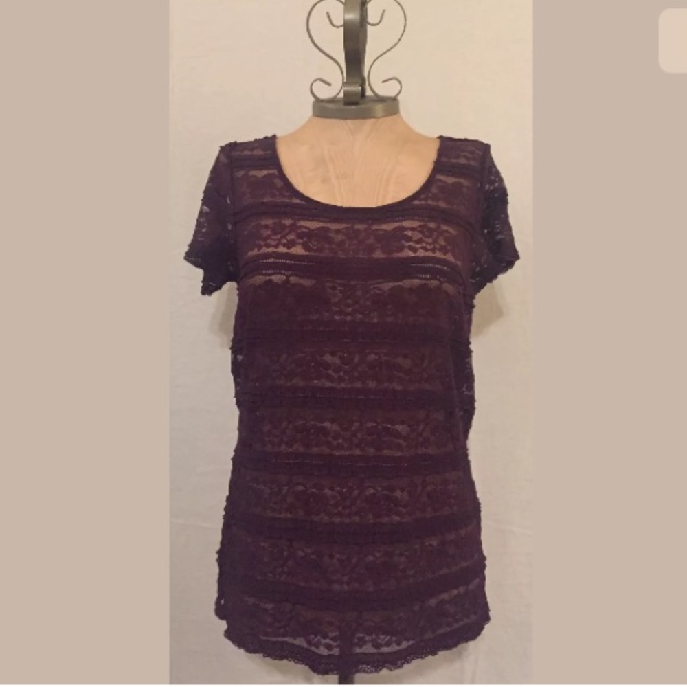 New Elle (Kohl's) M Purple Lace Shirt Sleeve Top